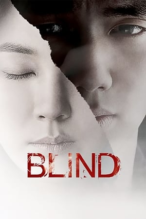 Blind (Beul-la-in-deu) พยานมืดปมมรณะ (2011)