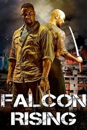 Falcon Rising ฟัลคอน ไรซิ่ง ผงาดล่าแค้น (2014) บรรยายไทย