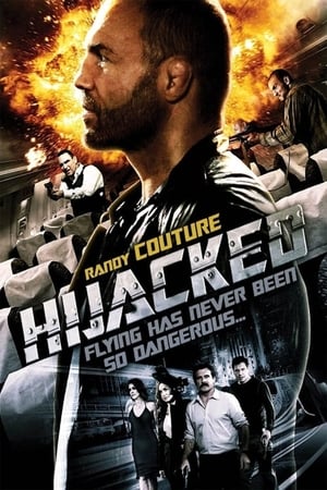 Hijacked ดับคนเดือด ปล้นระฟ้า (2012)