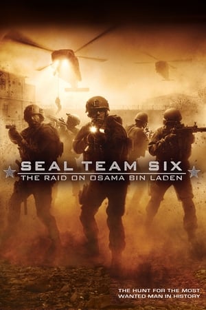 Seal Team Six- The Raid on Osama Bin Laden เจอโรนีโม รหัสรบโลกสะท้าน (2012)