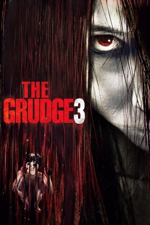 The Grudge 3 โคตรผีดุ (2009)