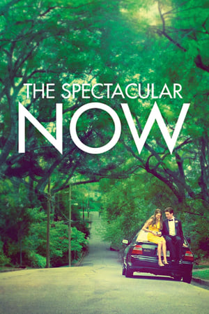 The Spectacular Now ใครสักคนบนโลกใบนี้ (2013) บรรยายไทย