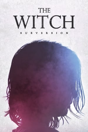 The Witch: Part 1 – The Subversion