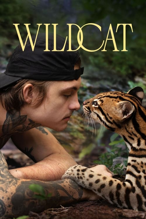 Wildcat (2022) บรรยายไทย
