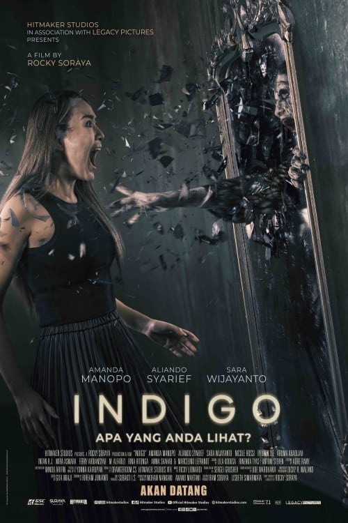 Indigo เธอเห็นอะไร (2023) บรรยายไทย