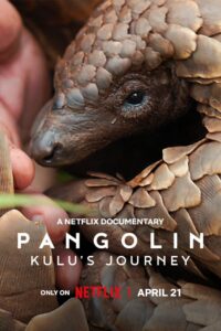 Pangolin: Kulu’s Journey Pangolin: การเดินทางของคูลู